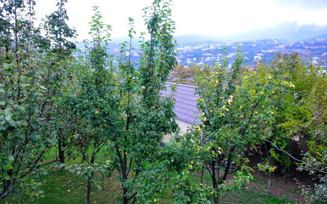 Kamar Guest house