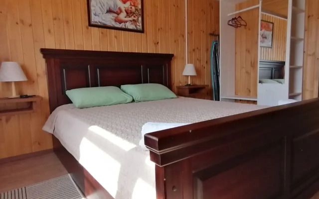 Domovyonok Guest house