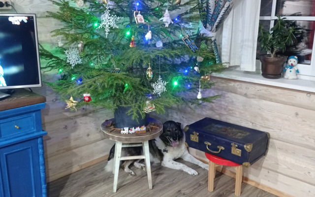 Гостевой дом Домик Художников