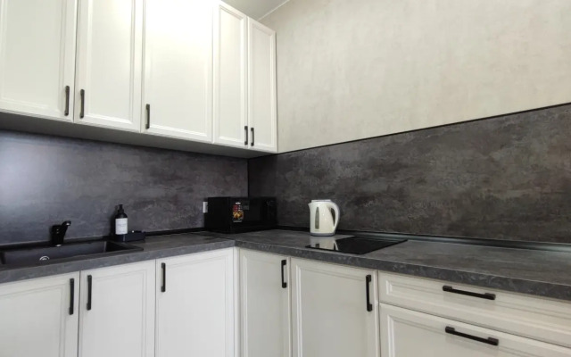 Panda Home v tsentre vozle naberezhnoy i akvaparka Apartments