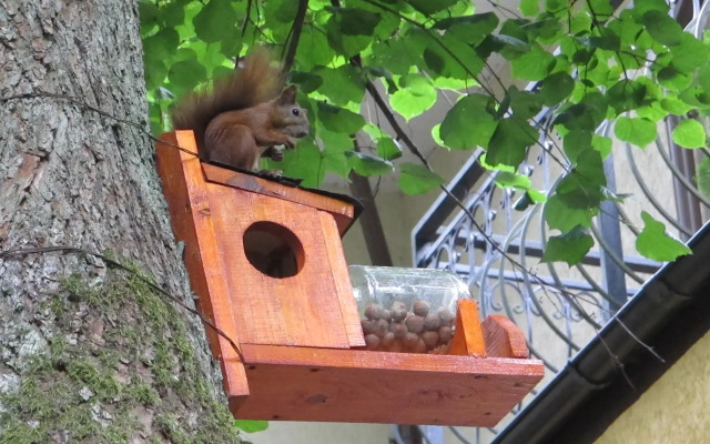 Гостевой Дом Фламинго