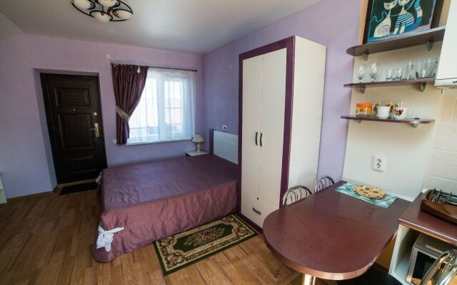 Svetlana Guest house