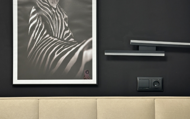 New Aparts Zebra Apartments