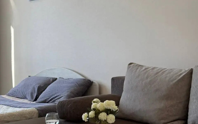 Квартира Добролюбова 16/1