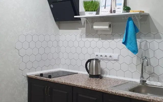Studiya ryadom s Olimpiyskimi obyektami Flat