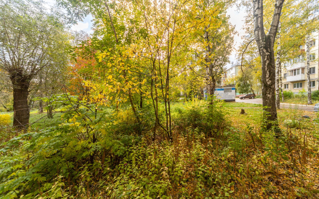 Patrisa Lumumby 3 Apartments