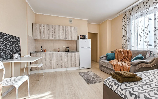 Апартаменты Фрунзе 49/1