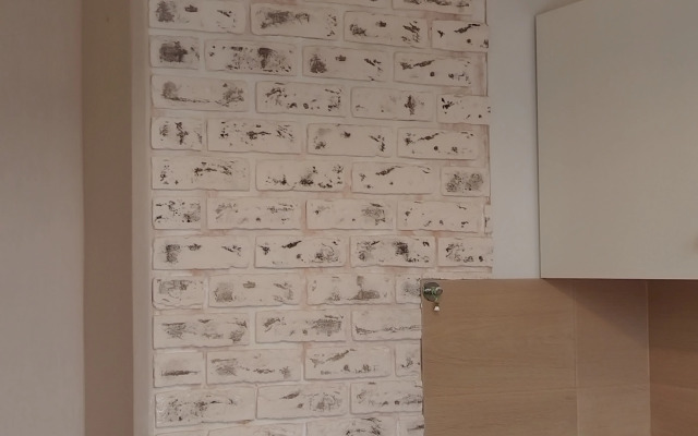 Квартира Квартира на Энгельса у метро Озерки