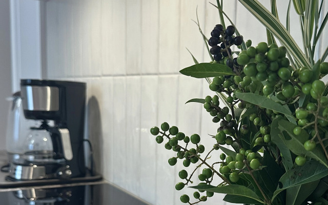 Апартаменты 2-х комнатные Элегантная Волна у метро Аэродромная