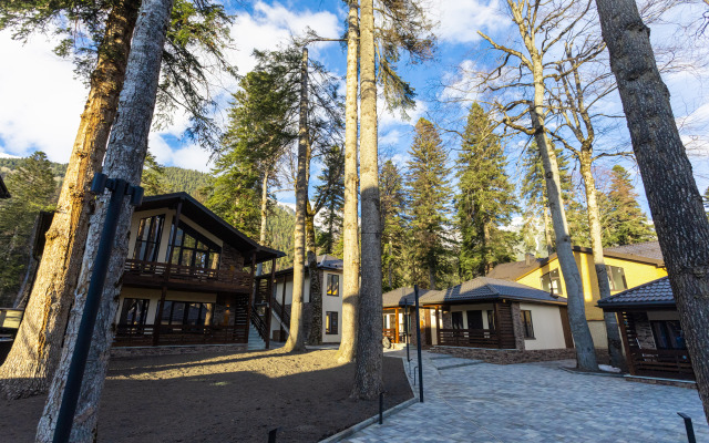 Ski Resort Hotel