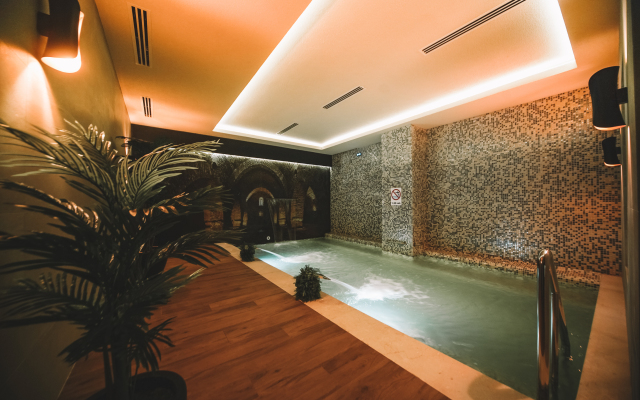 Отель Almira Thermal Spa & Convention Center