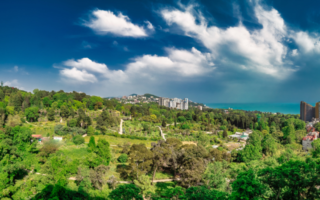 Dizaynerskaya S Vidom Na More I Dendrariy Flat