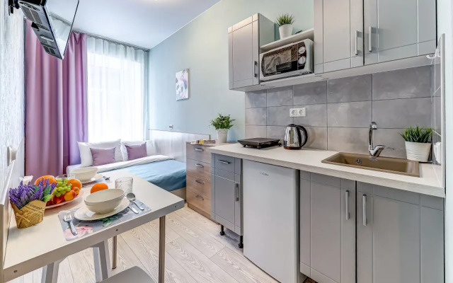 Апартаменты на Старорусской рядом с Московским вокзалом (СР9)