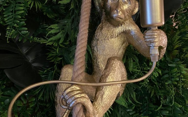 Частный дом Форца Тропикана