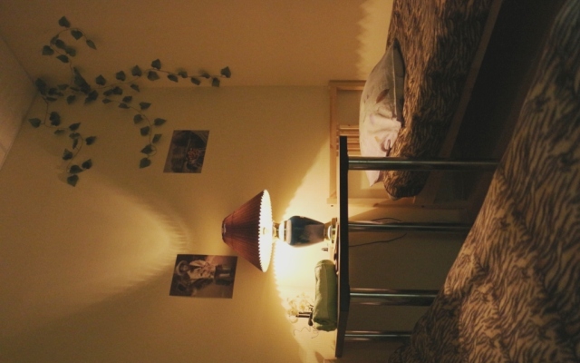 Svoboda 9 Hostel