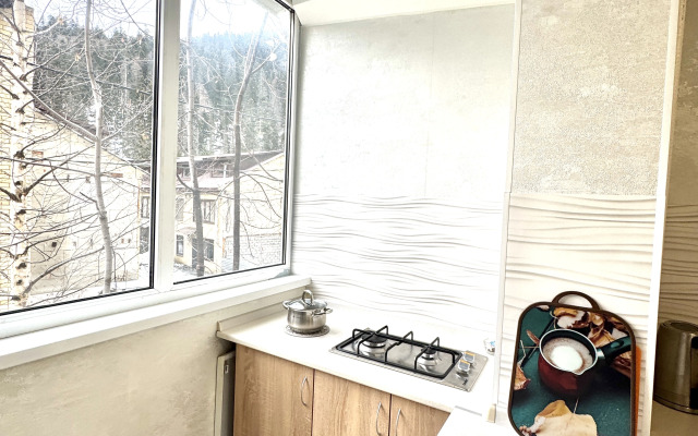 Апартаменты 2х комнатные с видом на горы