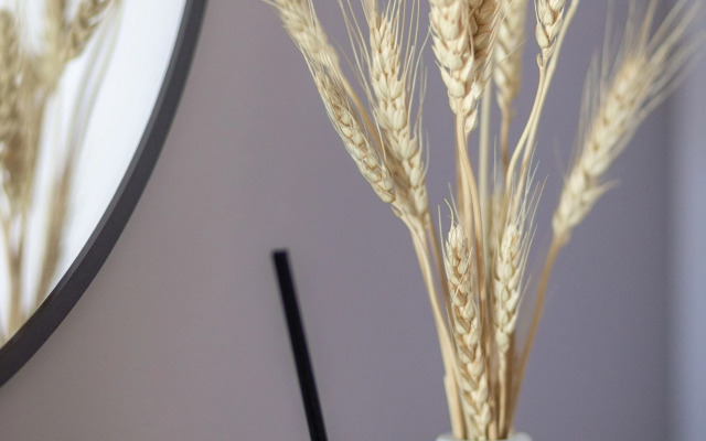 Апартаменты Eco-Style