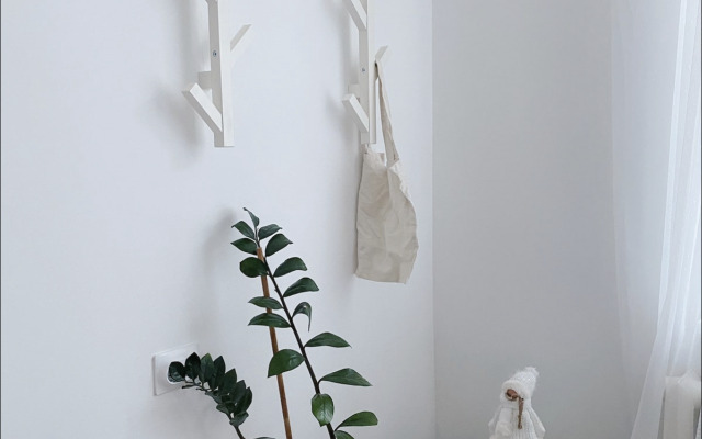 Апартаменты Светлые в центре Питера