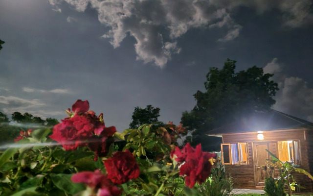 NesNik 2018 Guest House
