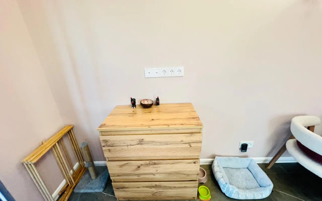 Stilnaya studiya s balkonom na dvoikh Apartments