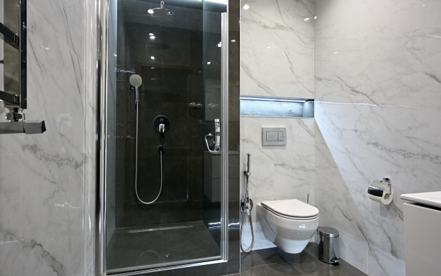 Elegantnaya kvartira na Pushkinskoy Apartments