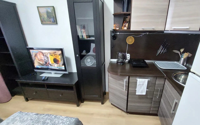 Квартира студия Живи в Песочном на Садовой 83