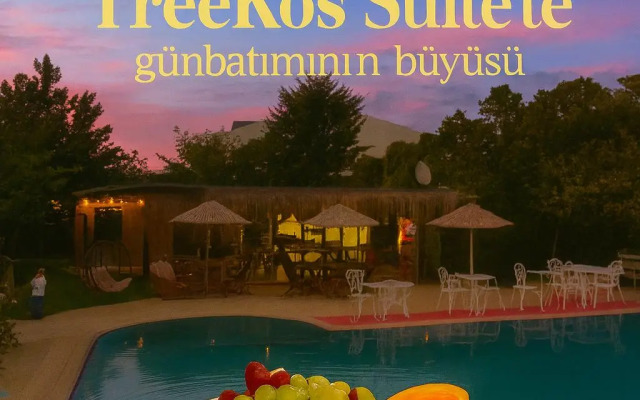 Treekos Suite Hotel