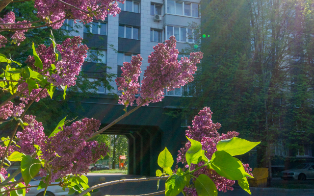 Квартира Двухкомнатная в Центре