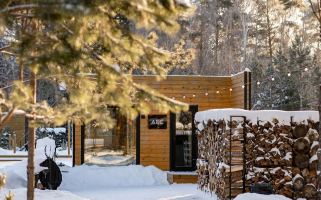 Частный дом Лес Мини 2