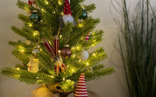 Апартаменты Scandic Romantic st.