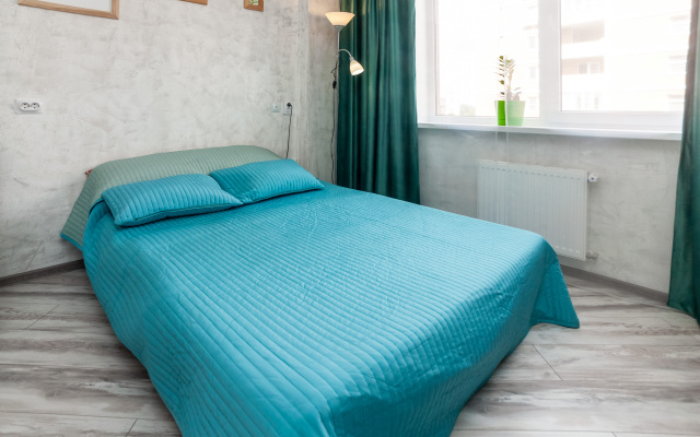 Uyutnyie Na Ligovskom Apartments