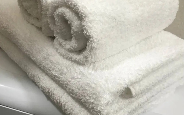 Квартира студия Живи в Песочном на Садовой 83