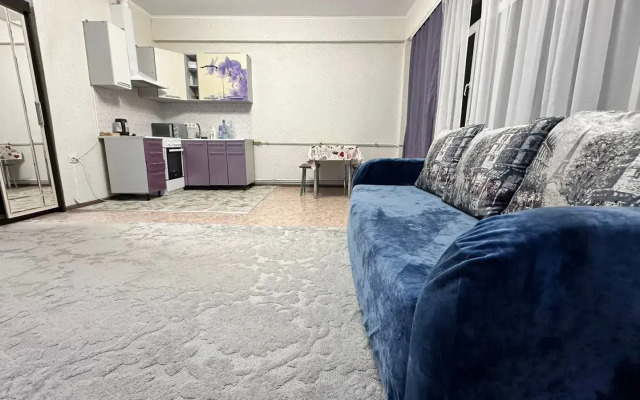 Komfortnyje V Tsentre Apartments