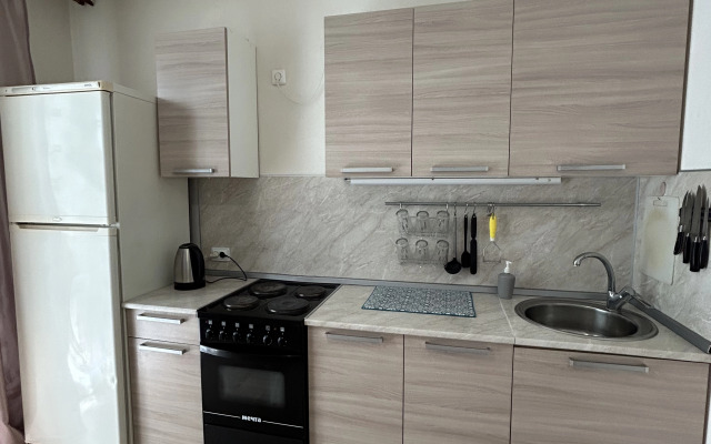 Апартаменты на проспекте Московском 209