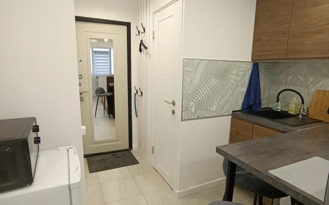 Studiya Na Pushkina Flat