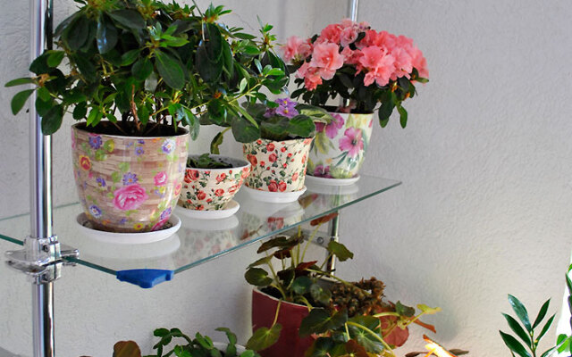 Vetan Guest House