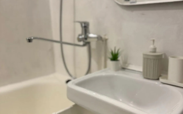 Апартаменты Nebabushkinvariant