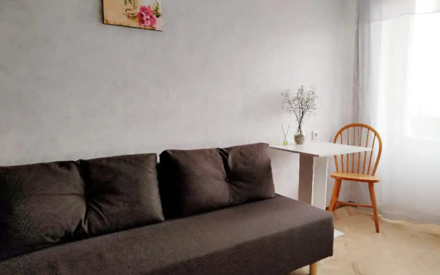 Na Voykovskoy Tsetkin - 2 Flat