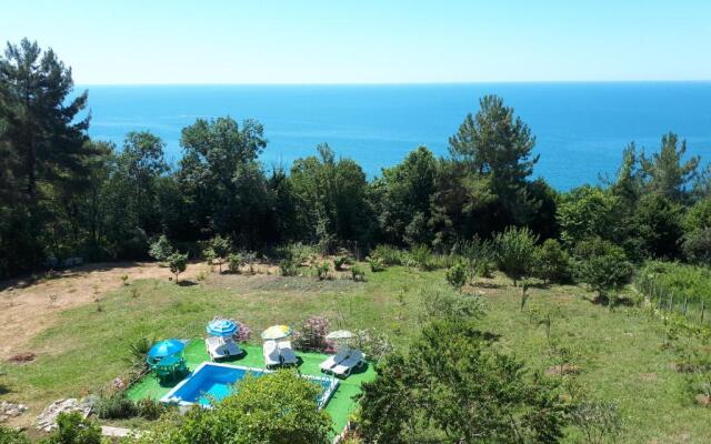 Bagryipsta Mini Hotel