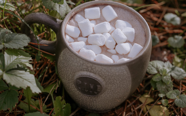 Отель Пайн Ривер