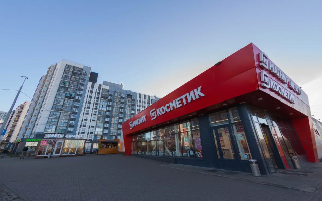 Апартаменты "DaRent Karelia" на Энтузиастов 15