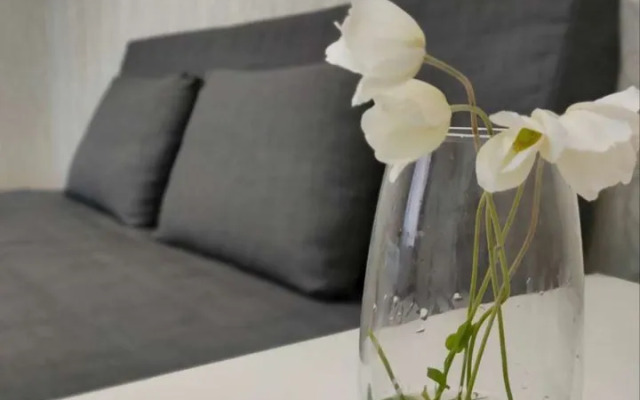 Na Industrialnoy 1B/3V Apartments