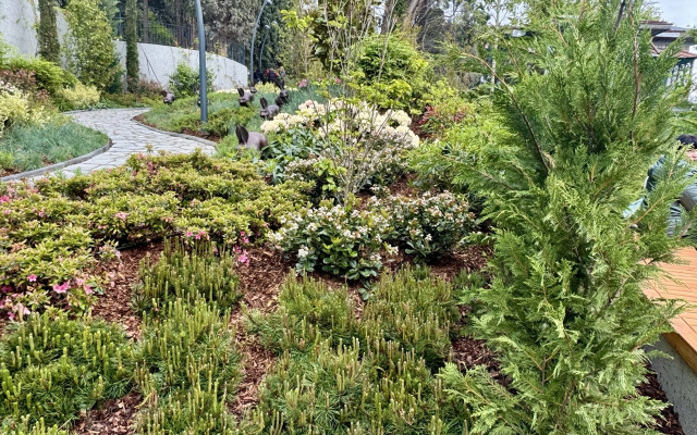 Апартаменты Двухместные с Кухней Алупка Ривьера Оазис