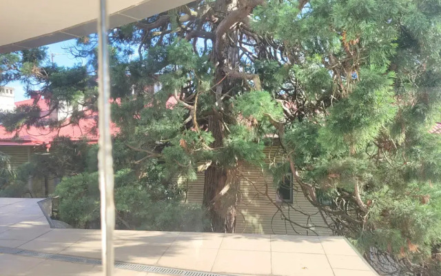 Апартаменты в Раевском