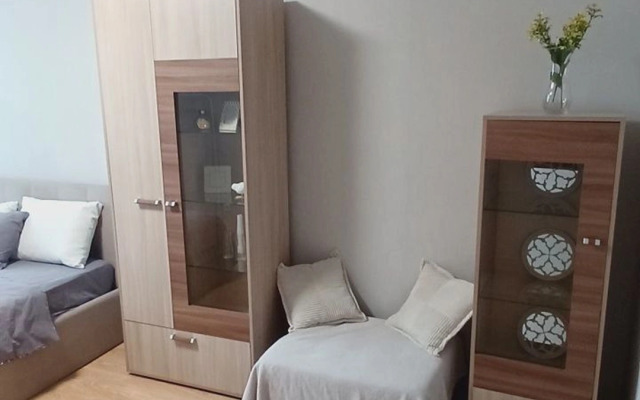 Квартира с видом на центральный стадион