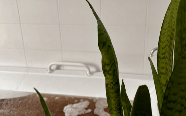 Отель Предгорье