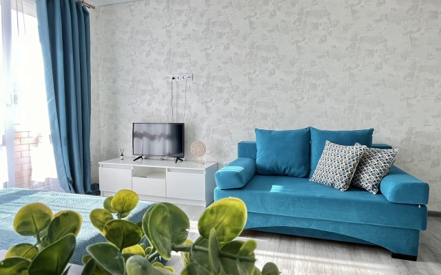 Апартаменты Студия на Вице Адмирала 9