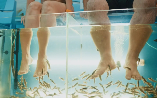 Отель Курортный Беловодье