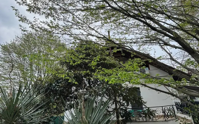 Pit Stop Guest House