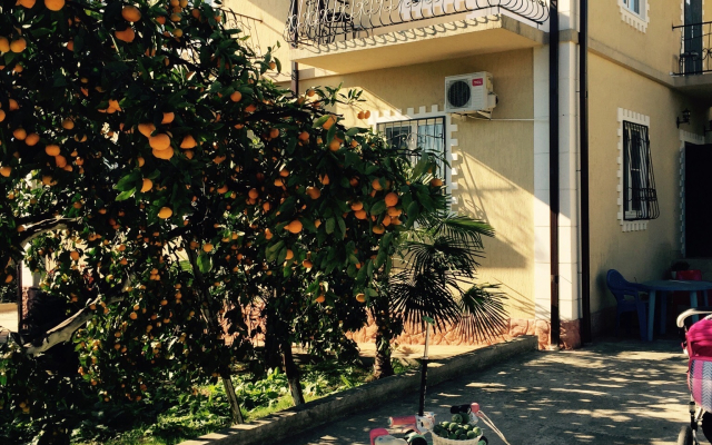 Divny Sad Guest House